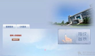 上海互联网软件集团 高端协同管理软件与信息技术咨询服务的卓越提供者